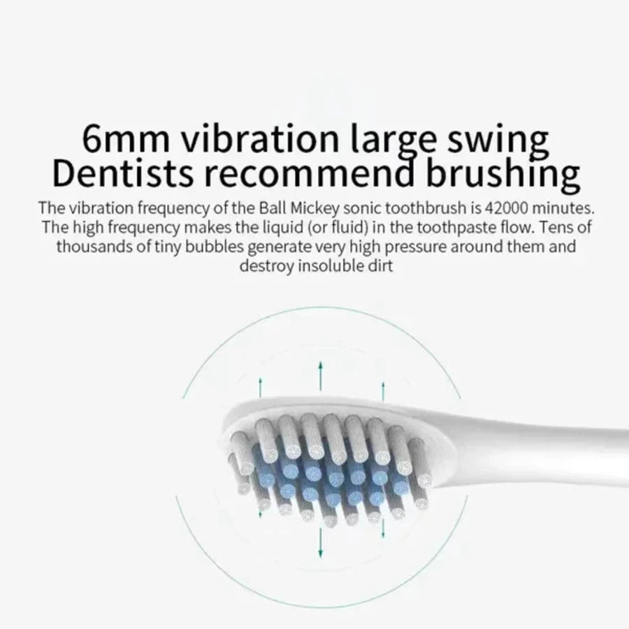 Electric Ultrasonic Toothbrush Set